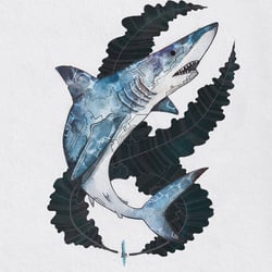 „Strength of ocean“