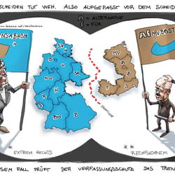 20200527 AfD Scheiden tut weh Stefan Fichtel