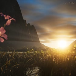 3D, CGI, Landscape in Unreal Engine, Rendering