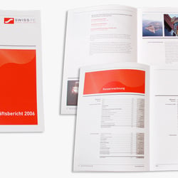 Geschäftsbericht / SwissFe AG