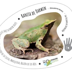 Biodiversity conservation