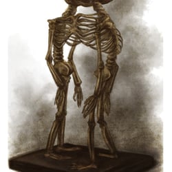 MORBID ANATOMY III