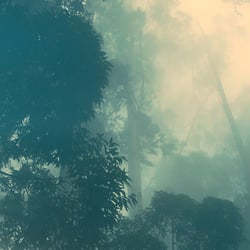 Sri Lanka – Nature