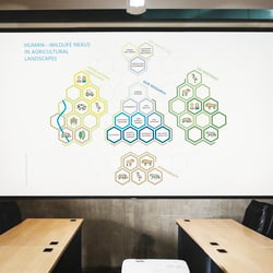 Infografik – Human—Wildlife Nexus 4