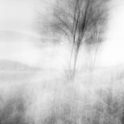 when the wind woke