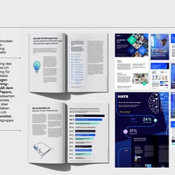 Hays PPT Präsentationen/Vorlagen • Printmedien  Marketing Assets • Werbegeschenke • Layout White Papers • CD-Anpassung Dokument