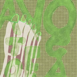 avocatoe