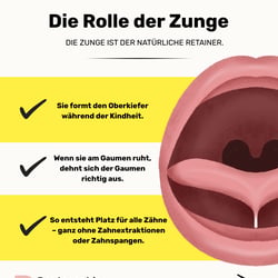 Content-Strategie & Leadgenerierung für Kieferor