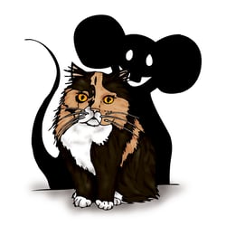 Katzen