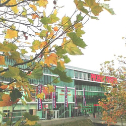 P. Center 2012 – D.T
