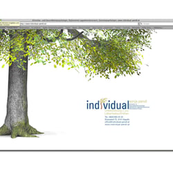 individual / Webdesign & Programmierung