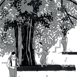Der Baum denkt_6