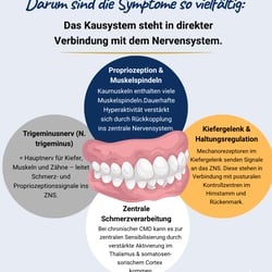 Instagram-Wachstum für Zahnärztin & Dentosophie-