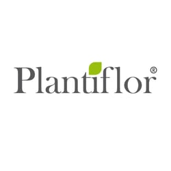 Logo Gestaltung