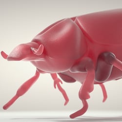 Juchtenkäfer aus Gummi