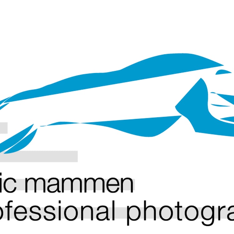 Enric Mammen