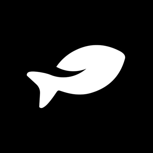 Freischwimmer.io | WordPress-Agentur