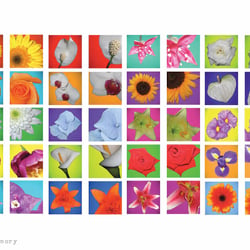 Blumen-Memory