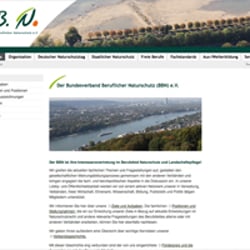 Webdesign BBN Online