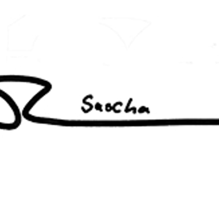 Sascha Reich