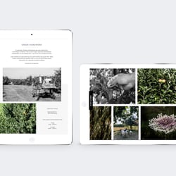 Mobile Design