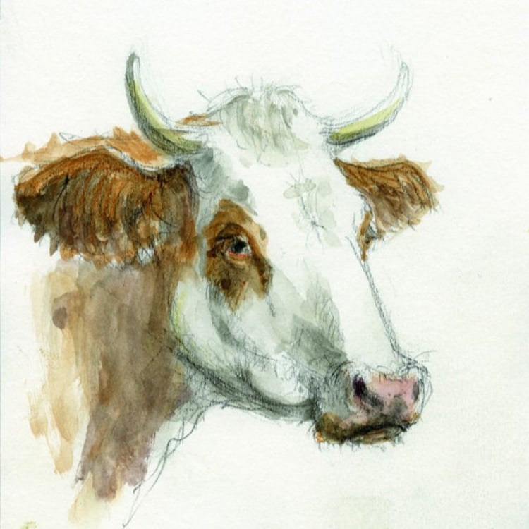 Luise Bollmann