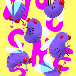 mouches,mouches, mouches.
