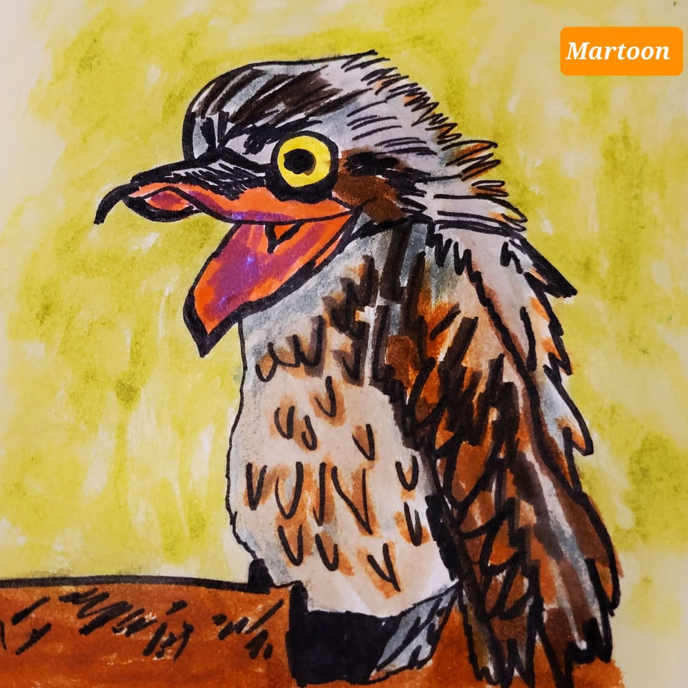 Septembird 23 – Tag 1 – Vogel:Potoo.