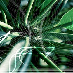 Freie Photoshop Composings