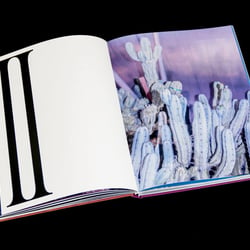 Studio Last – Hidden Hills