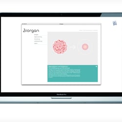 Website