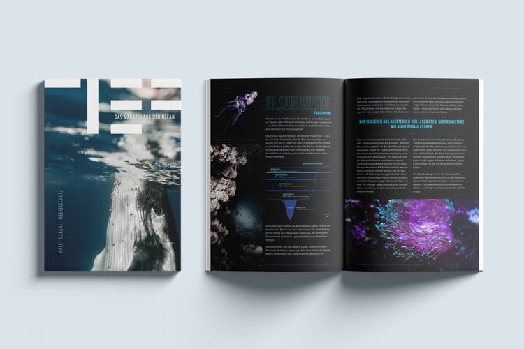 OfG InDesign Masterclass – Modulaufgabe M3