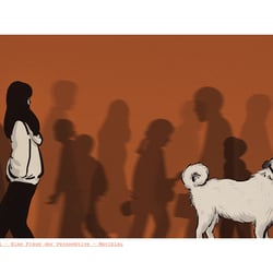 Kangal – Eine Frage der Perspektive 2/2