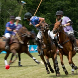 polo bs kl 21