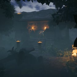 Amazonas_Forest_Shot_3