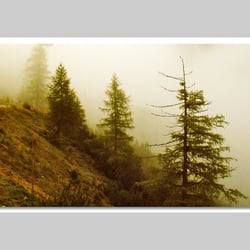 Fotografie-Natur