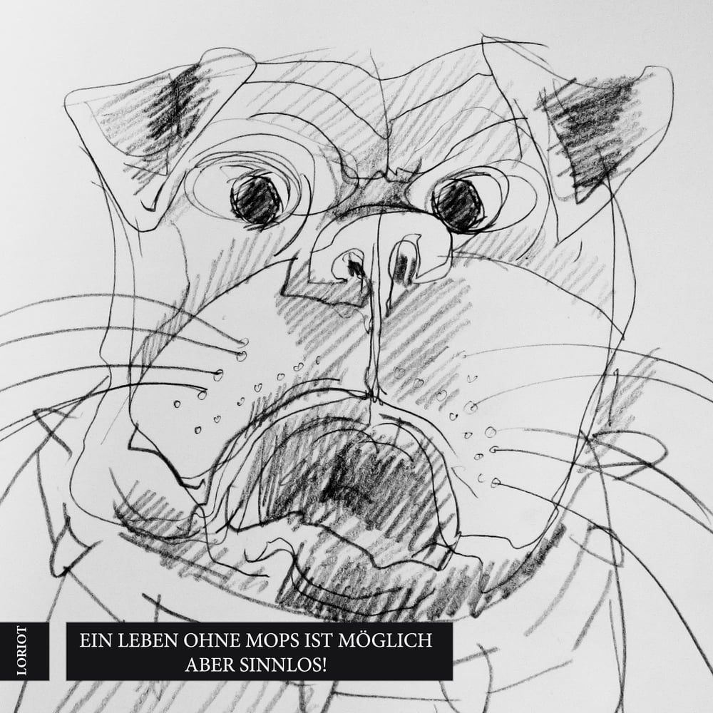 Cover_Portfolio Cartoon & Lineart