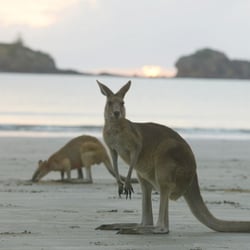 2013australien3656