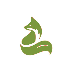 Green Fox Writing Style