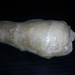 Food Fotografie 2012 Ingwer