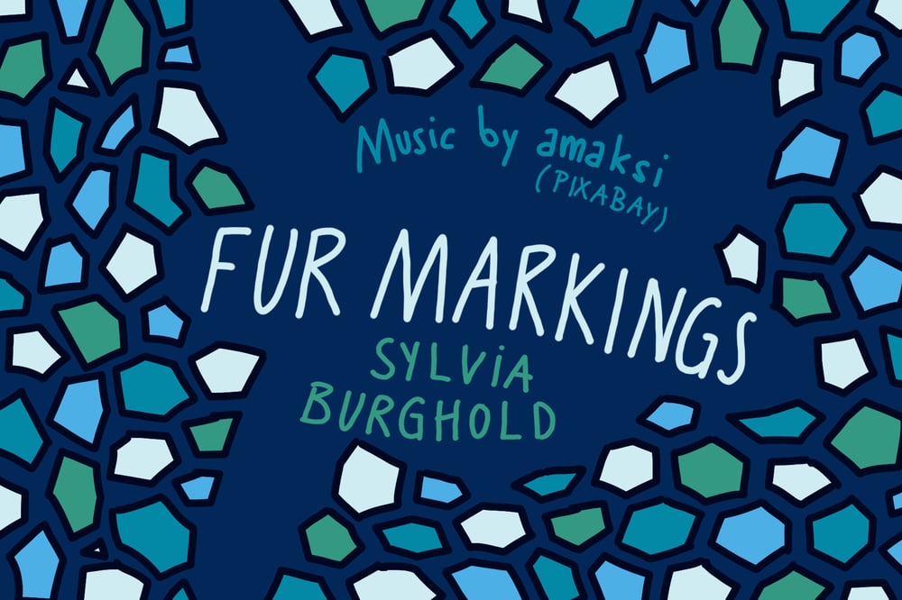 „Fur markings“ – Festivalbeitrag Shcha7sec