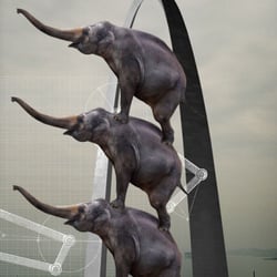 Circus