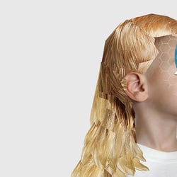 mullet