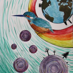 Eisvogel blickt in die Welt