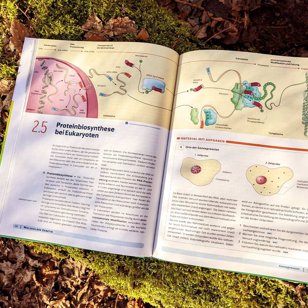 Biologische Illustrationen „Grüne Reihe“ Genetik