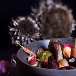 Warme Crudités auf rote Bete Humus