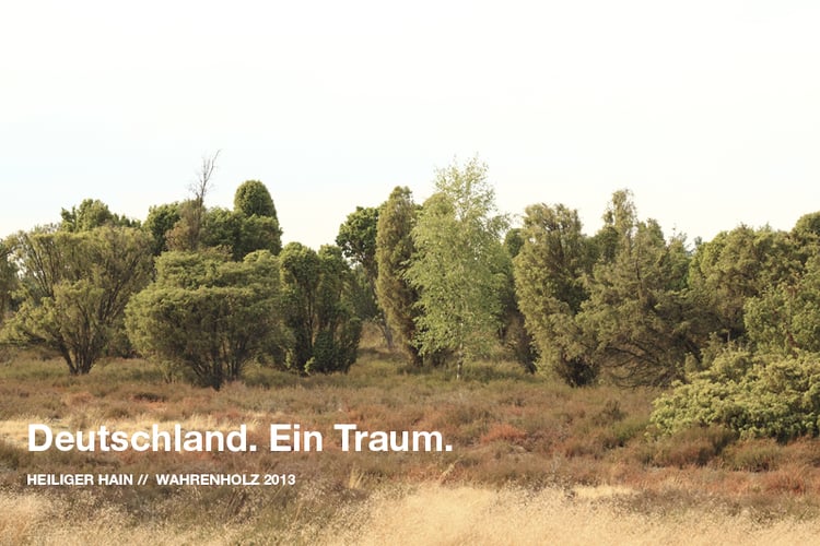 Deutschland. Ein Traum. Im Heiligen Hein.