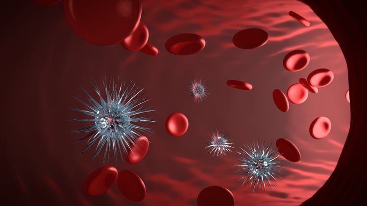 Infected Bloodstream