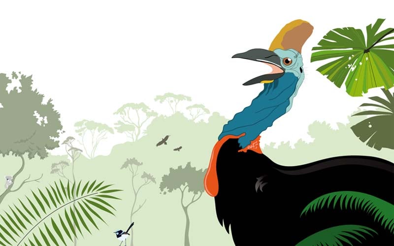 Abschlussarbeit: Sachbuch zum Thema Australien