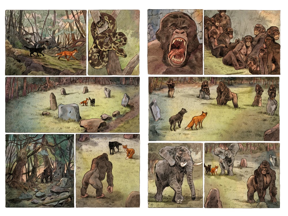 Black and Fox